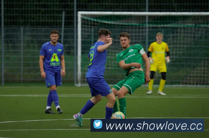 九游网页版本官网平台生态图