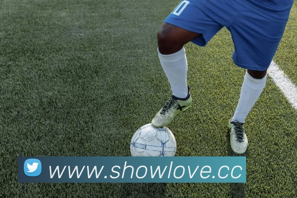 九游网页版本官网APP 封面图